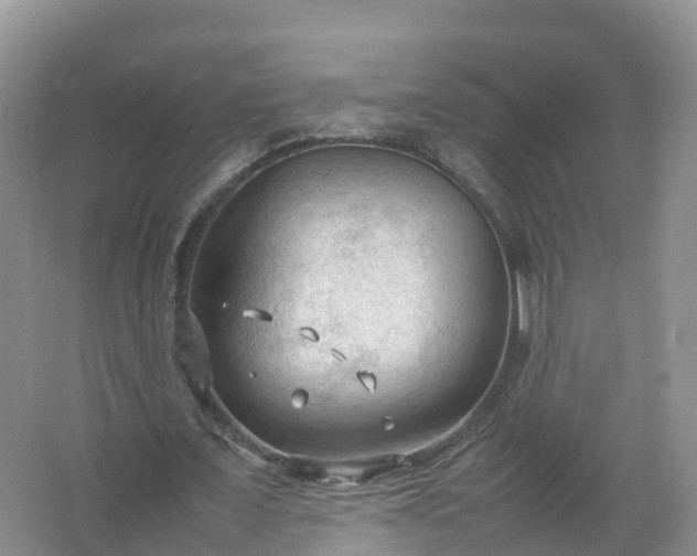 X0000067520675200604150200