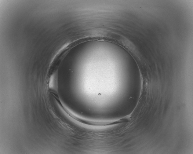 X0000067520676200604150200