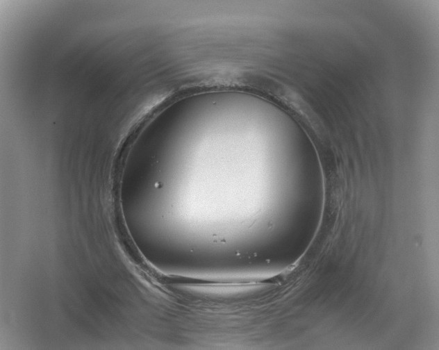 X0000067520677200604150200