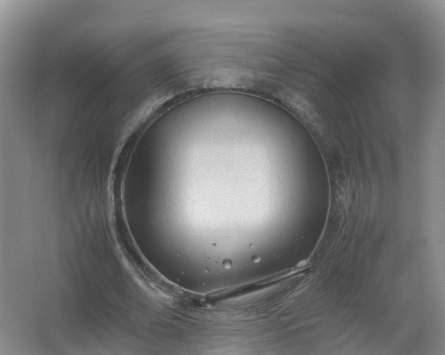 X0000067520678200604150200