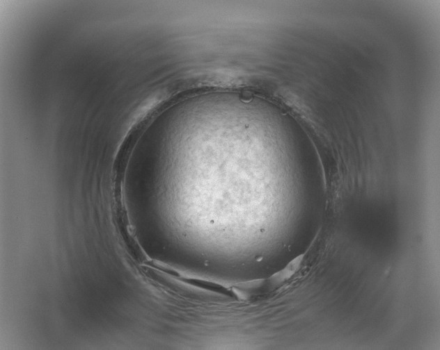 X0000067520679200604150200