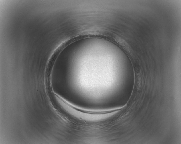 X0000067520680200604150200