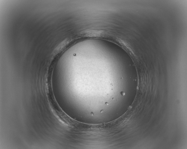 X0000067520682200604150200