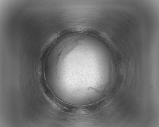 X0000067520683200604150200