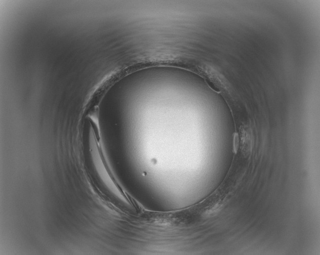 X0000067520684200604150200