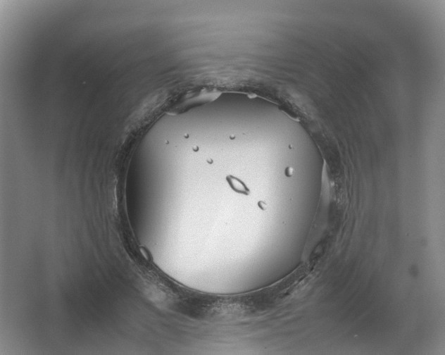 X0000067520685200604150200