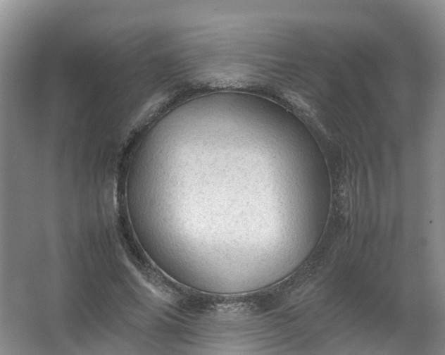 X0000067520686200604150200