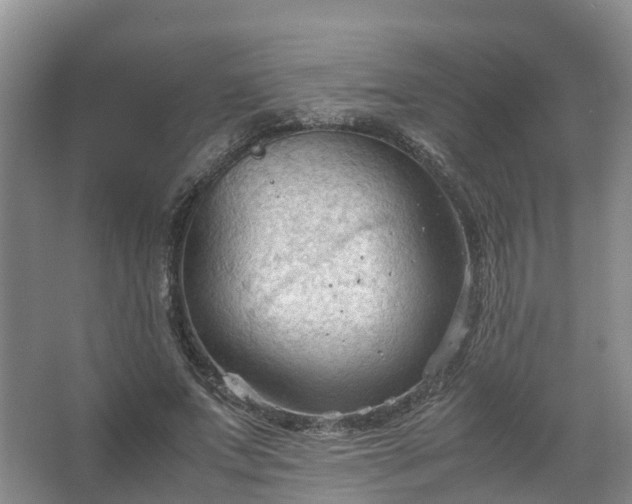 X0000067520687200604150200