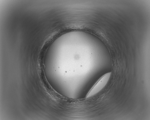 X0000067520688200604150200