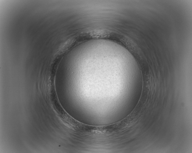 X0000067520690200604150200