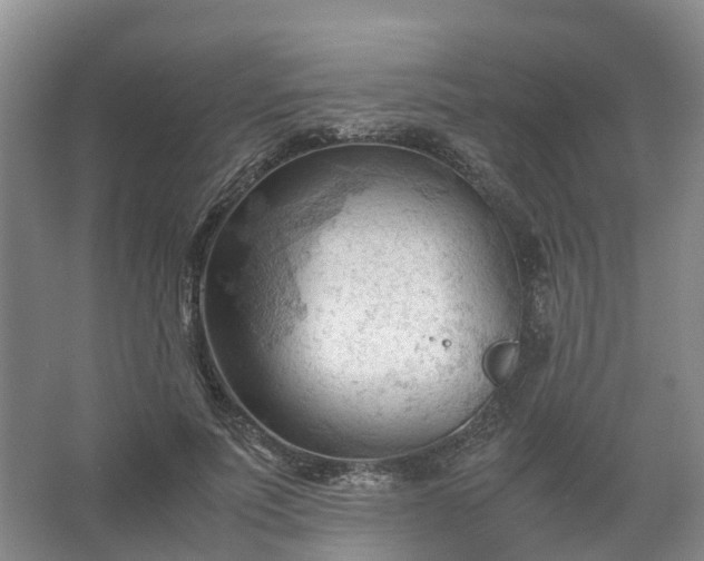 X0000067520691200604150200