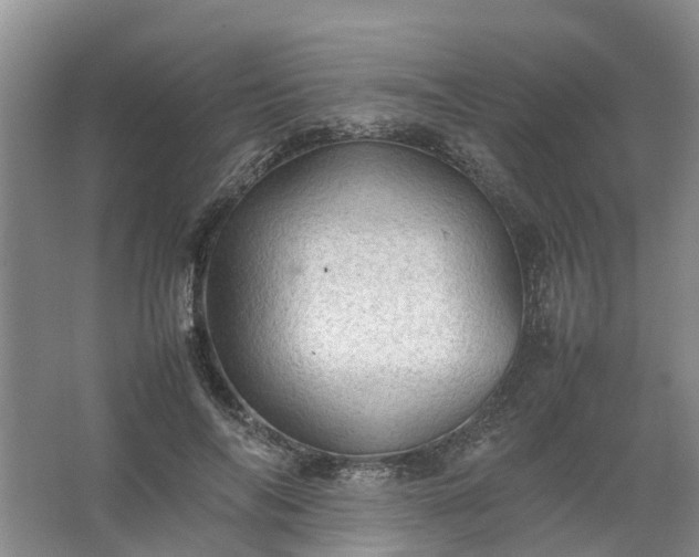 X0000067520694200604150200