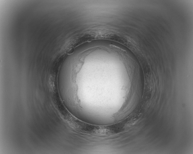 X0000067520695200604150200