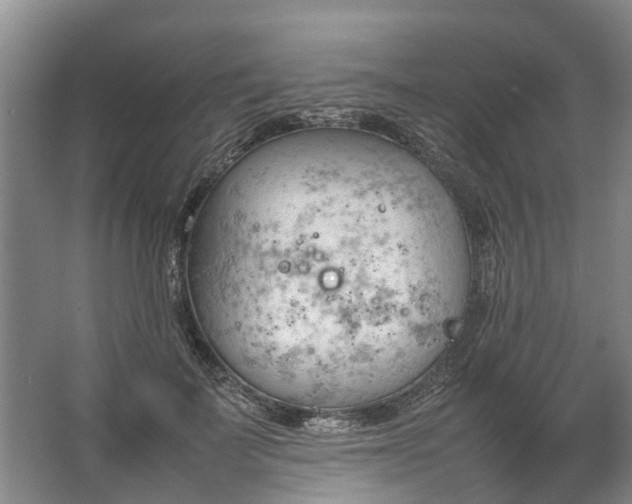 X0000067520699200604150200