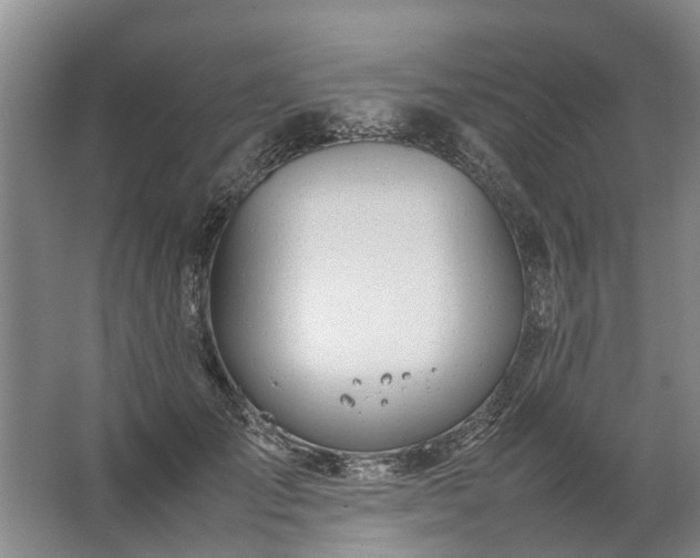 X0000067520701200604150200