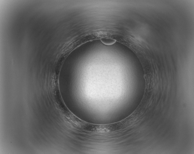 X0000067520702200604150200