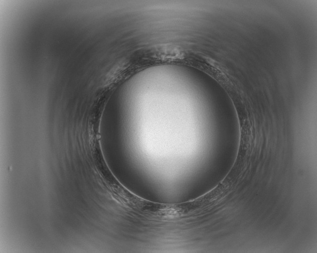 X0000067520704200604150200