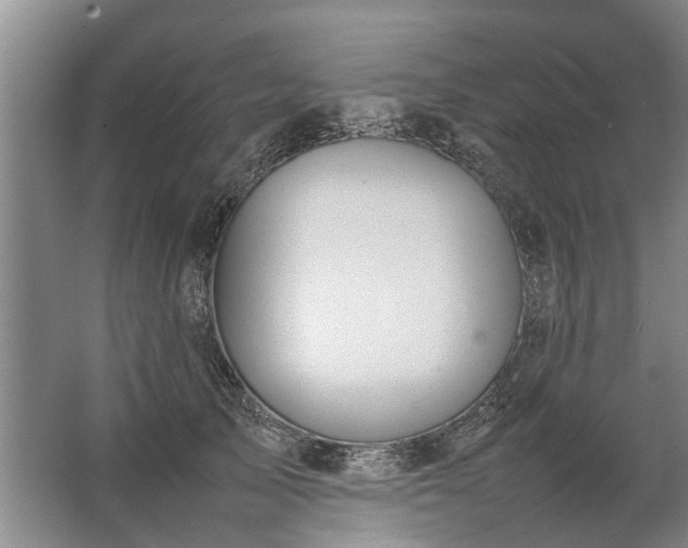 X0000067520705200604150200