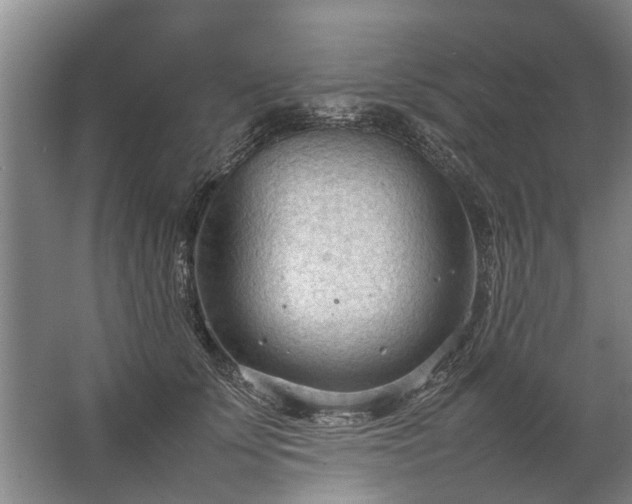 X0000067520707200604150200