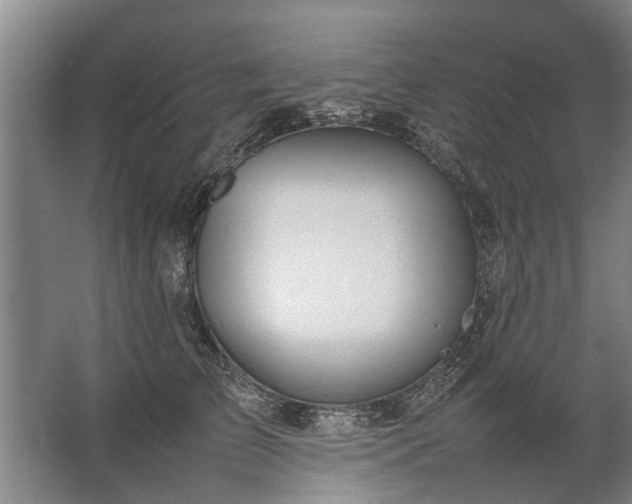 X0000067520709200604150200