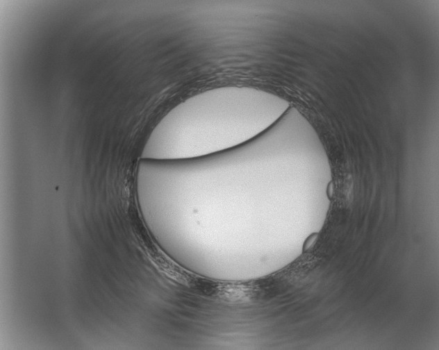 X0000067520710200604150200