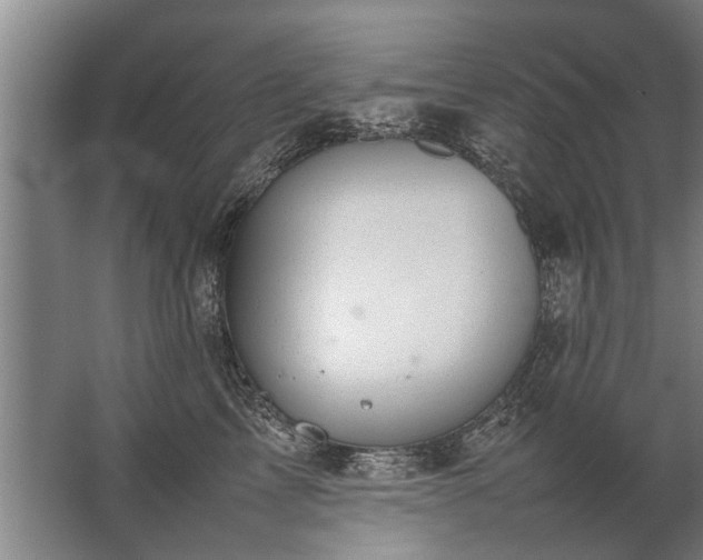 X0000067520713200604150200