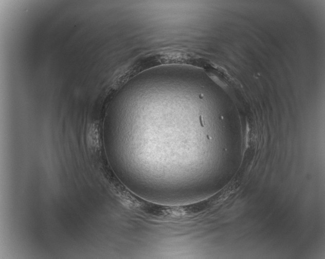 X0000067520715200604150200