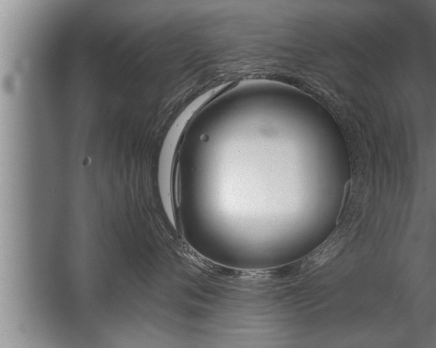 X0000067520720200604150200