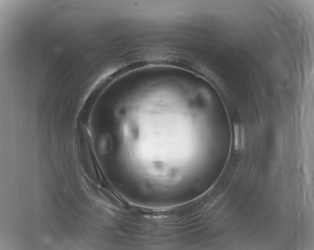 X0000067520723200604150159