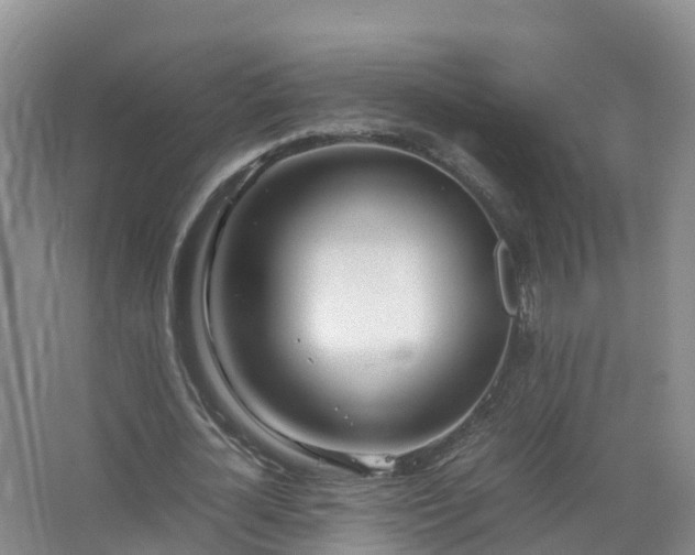 X0000067520724200604150159