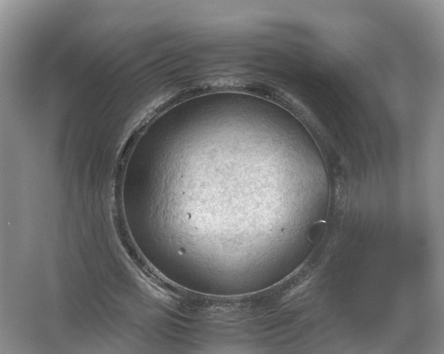 X0000067520725200604150159