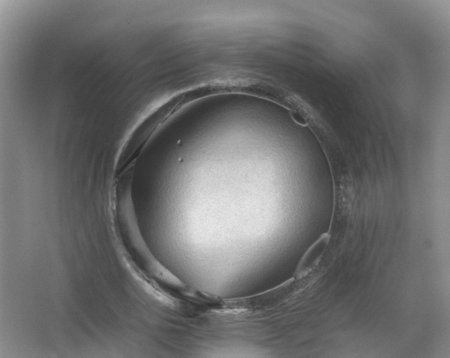 X0000067520726200604150159