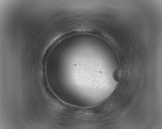 X0000067520727200604150159