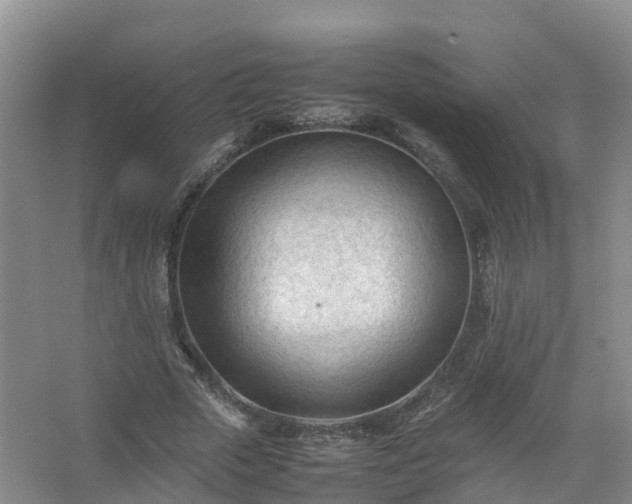 X0000067520729200604150159