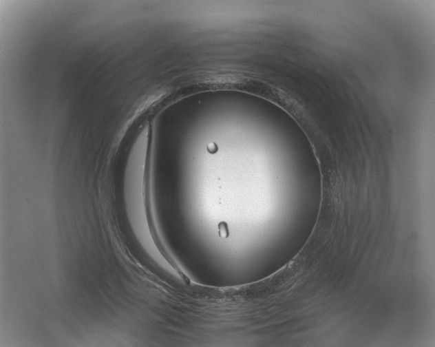 X0000067520731200604150159