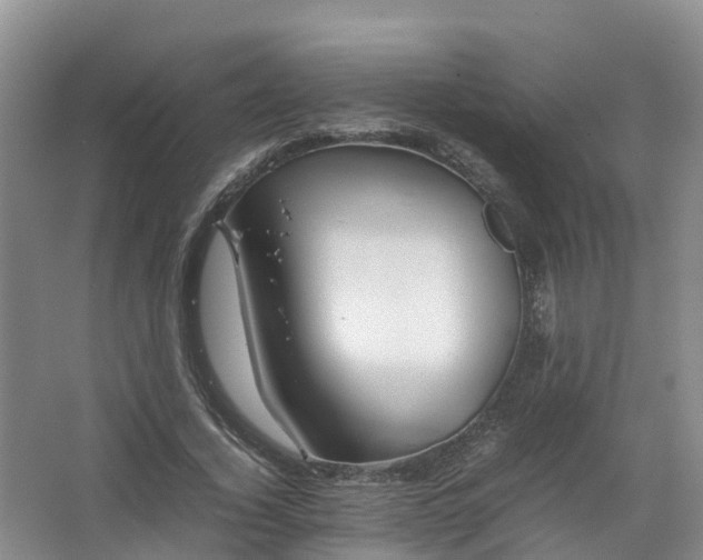 X0000067520732200604150159