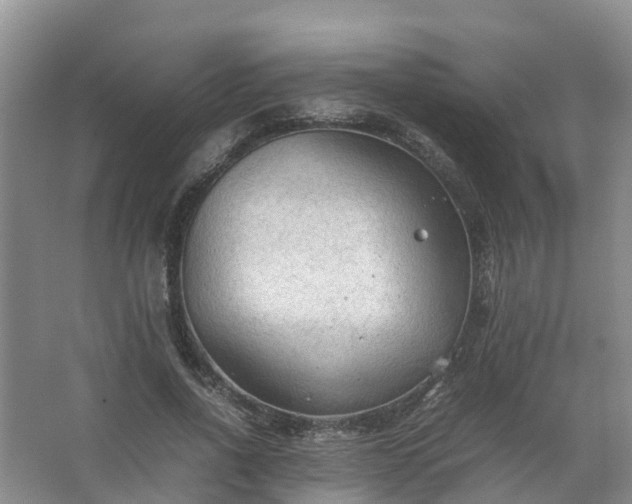 X0000067520734200604150159