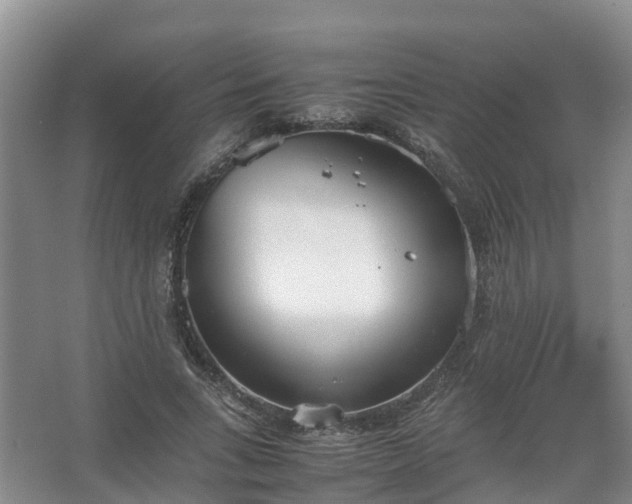 X0000067520735200604150159