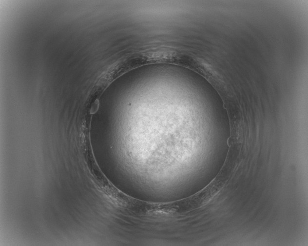 X0000067520737200604150159