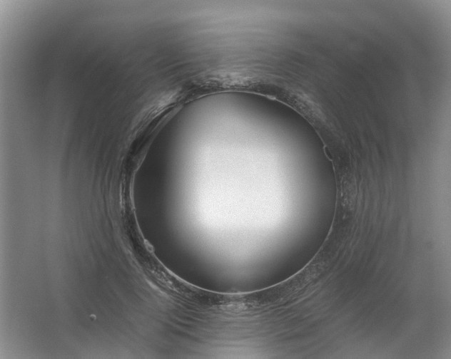 X0000067520740200604150159