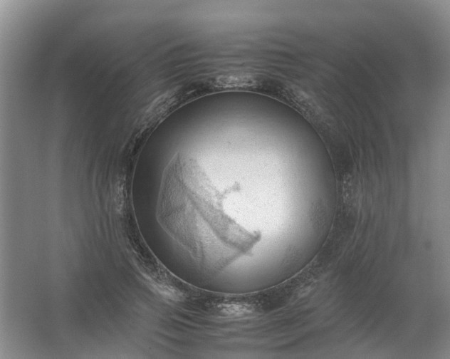 X0000067520741200604150159