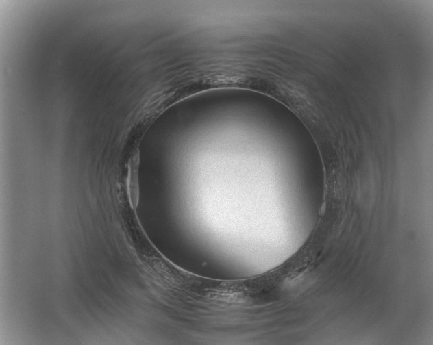 X0000067520743200604150159