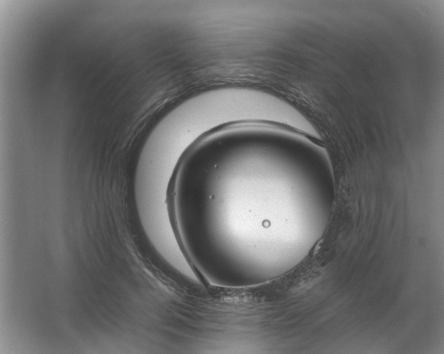 X0000067520744200604150159