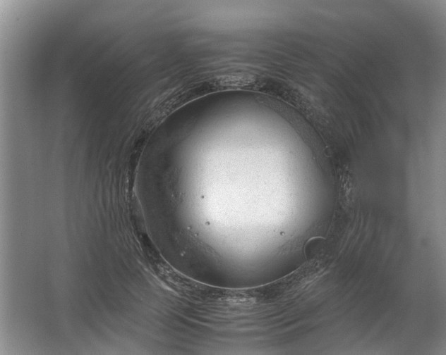 X0000067520745200604150159