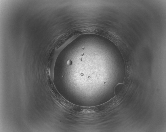 X0000067520749200604150159