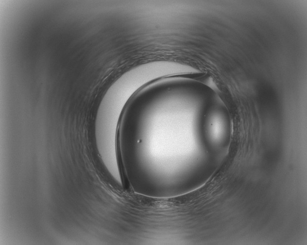 X0000067520750200604150159