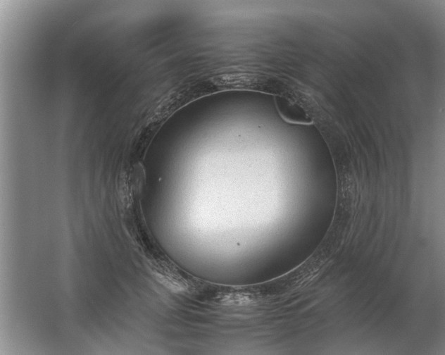 X0000067520751200604150159