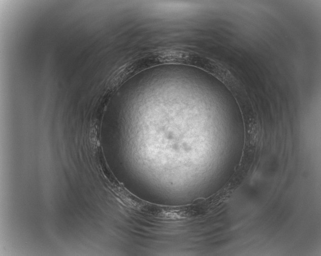 X0000067520753200604150159