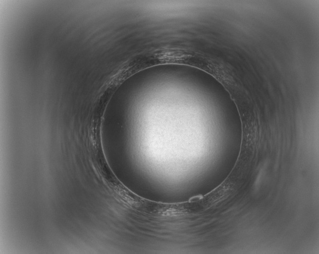 X0000067520755200604150159