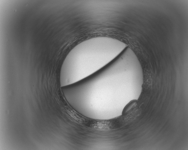 X0000067520758200604150159